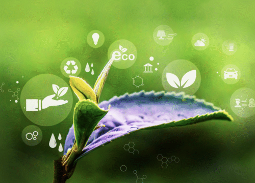 Monitor ESG metrics and licensing frameworks